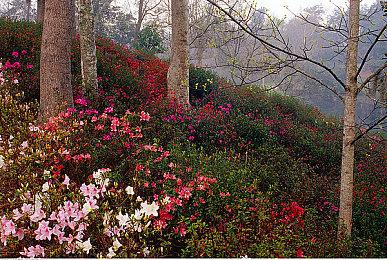 前任索尼工作室总裁领取BAFTA终身成就奖
